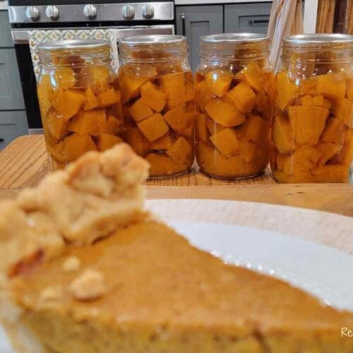 canned sugar pumpkins with slice of pie