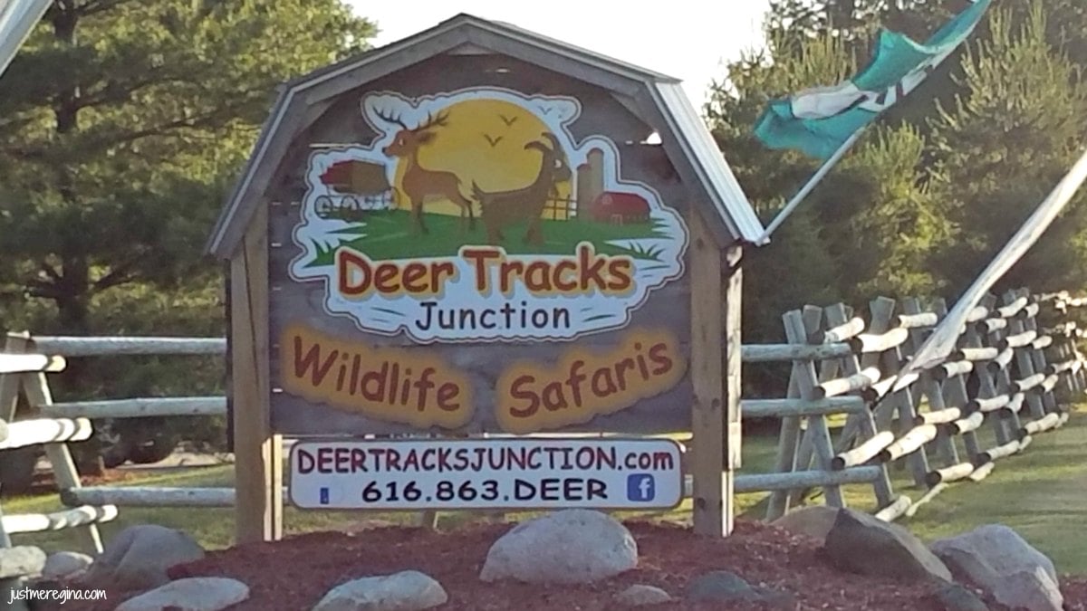 Kid friendly things to do - Grand Rapids Michigan- Eat Travel Life