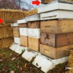 Tipstoprepareyourhoneybeesforthewinter eattravellife.com