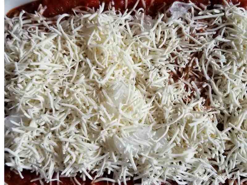 Italian cheese over sauce and noodles