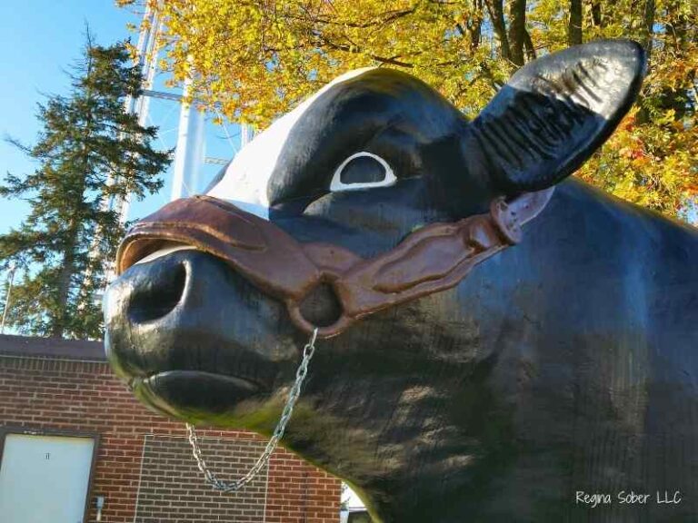 bull elsie dairy days