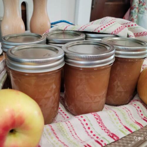 Canning Apple Butter Homemade Recipe
