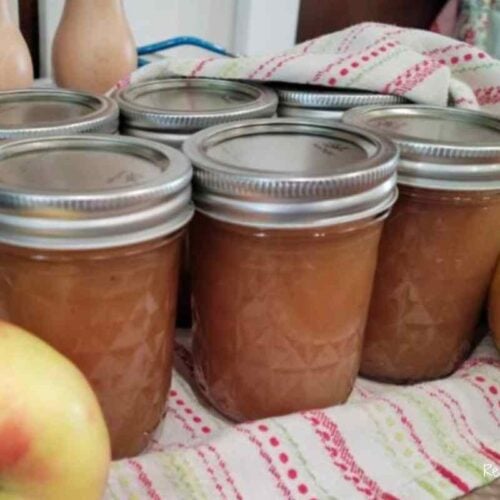 canned apple butter