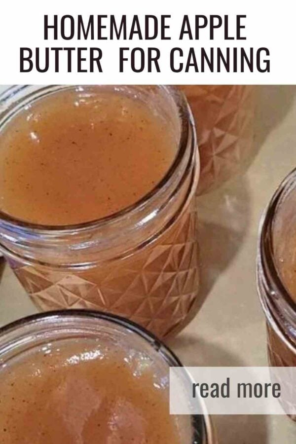 Rich, spiced, and slow cooked until perfectly thick. This homemade apple butter is one of the easiest fall canning projects and a great way to use orchard apples or backyard harvest.