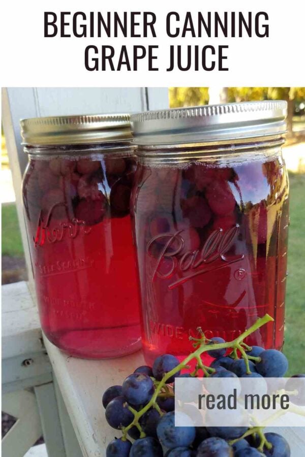 A beginner canning recipe for homemade grape juice. No peeling required, sugar optional, and ready to enjoy after infusion.