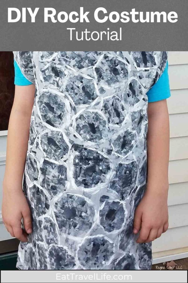 Learn how to make a one-of-a-kind DIY rock costume inspired by Michigan’s Petoskey stone. Perfect for kids who want a creative, nature-inspired Halloween look. Step-by-step instructions included!