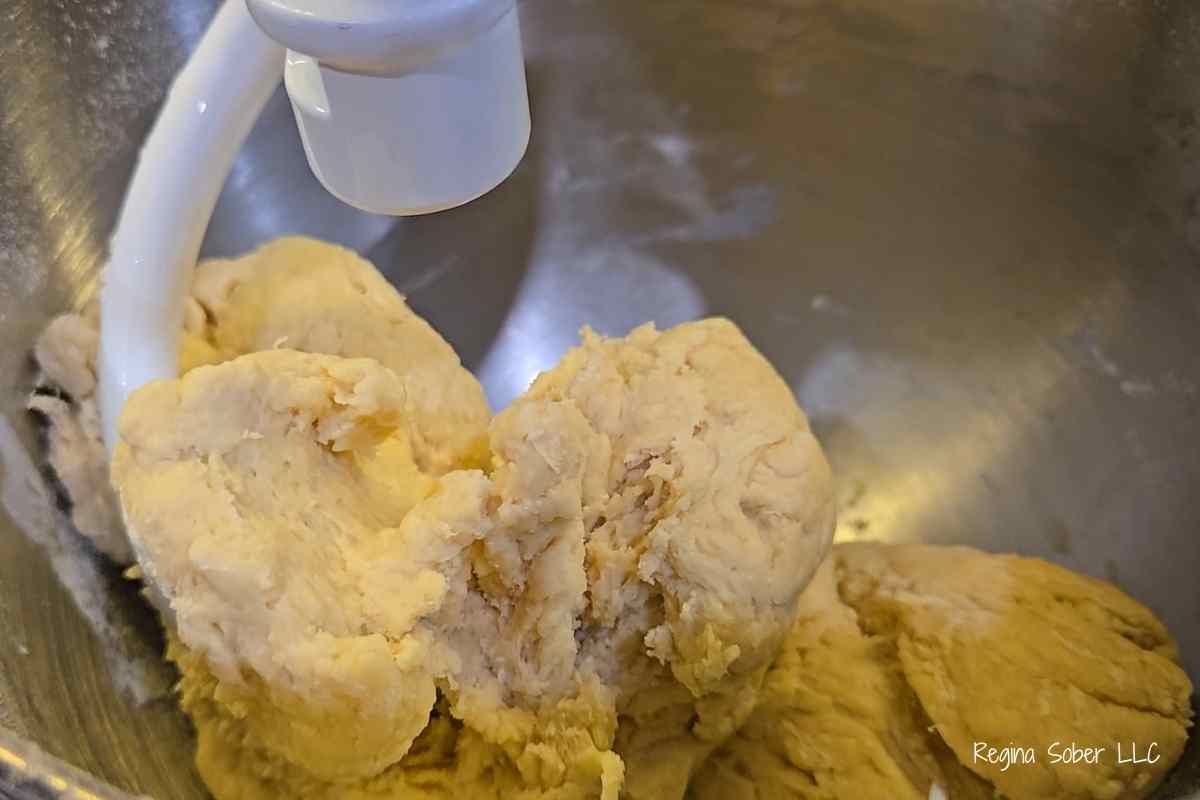 well blended dough needs to rest and rise.