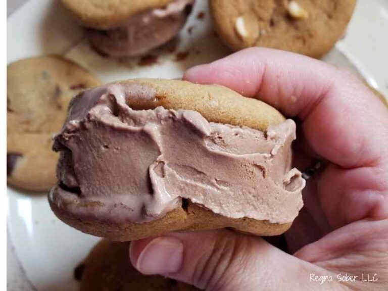 ice cream cookie sandwich with chocolate ice cream