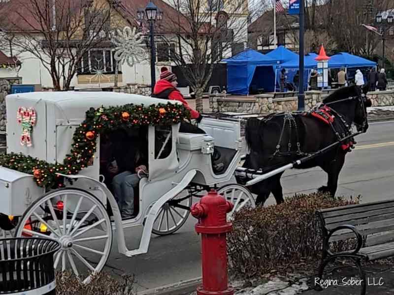 Take a horse drawn carriage ride through downtown Frankenmuth
