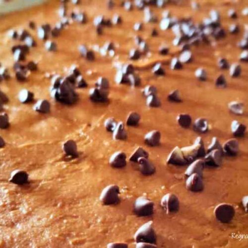 sheet cake with chocolate chips