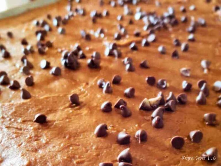 sheet cake with chocolate chips