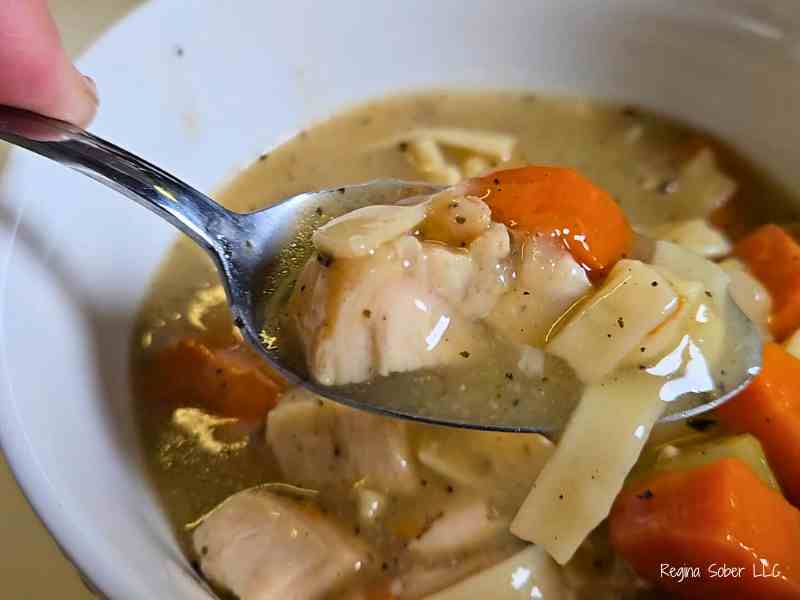 chicken noodle soup