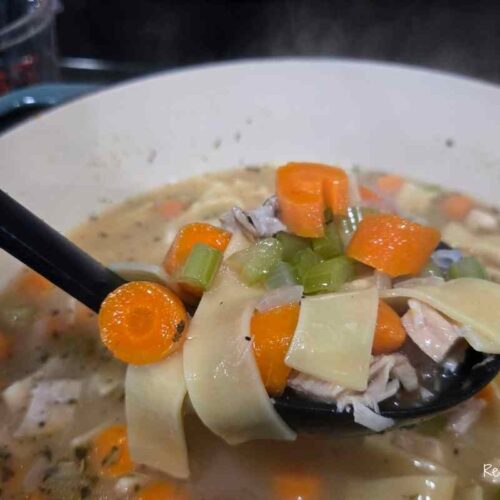 chicken noodle soup
