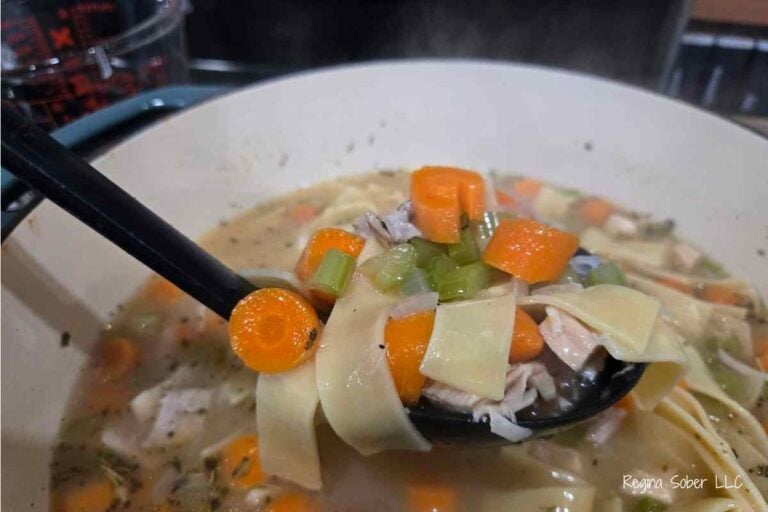 chicken noodle soup
