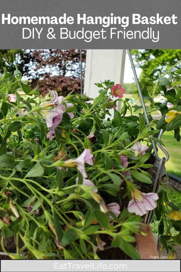 Learn how to make a vibrant hanging basket at home with simple steps and budget-friendly tips. Perfect for recycling old pots and enjoying blooms all season.