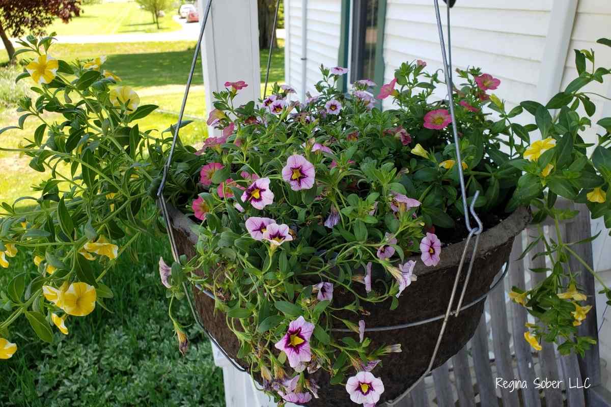creating your own flower basket lets you select the flowers you want to see every day