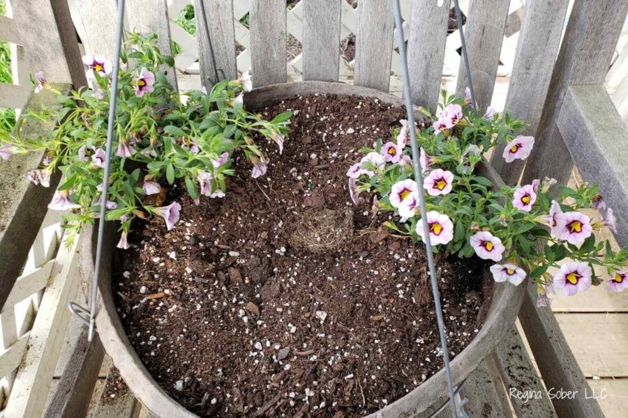 separate like plants giving space to add color on all sides of the basket