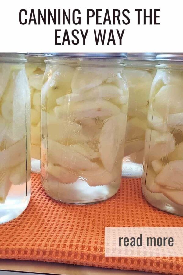 Learn how to can pears at home with simple steps and beginner friendly tips. Perfect for stocking your pantry with sweet, tender pears all year long.