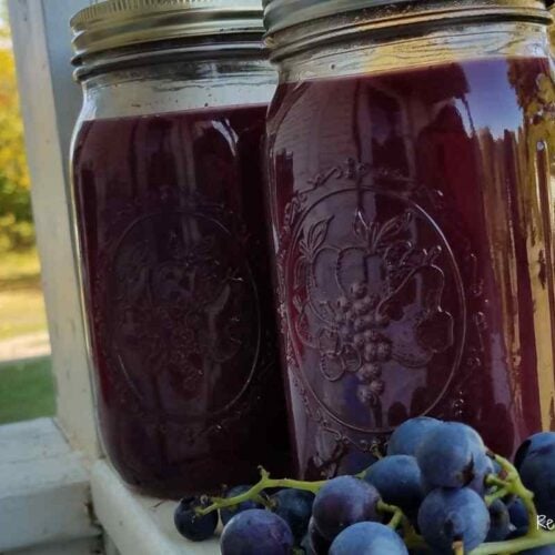 concentrated grape juice