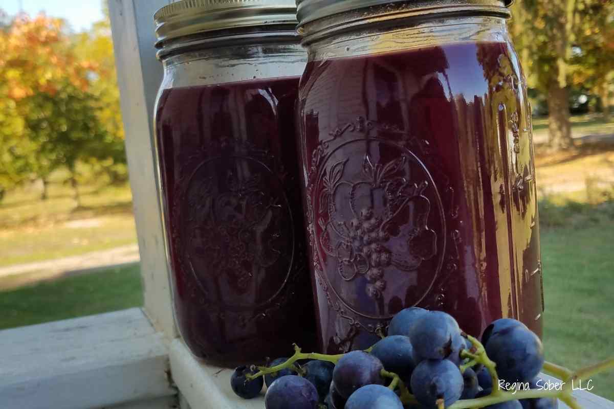 concentrated grape juice