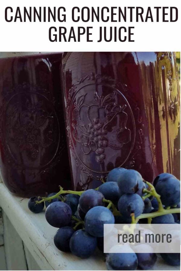 Learn the simple steps to extract, strain, and can concentrated grape juice for long‑lasting pantry storage.