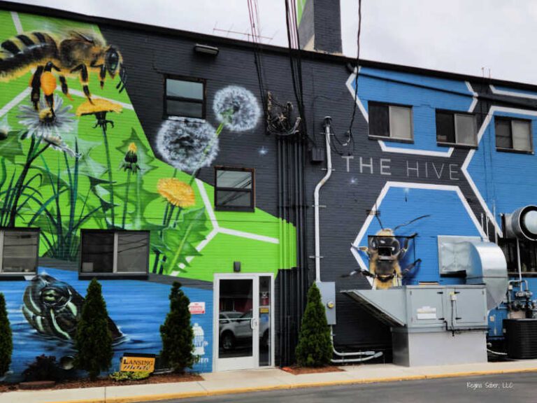 35+ Street Art Murals in Lansing Michigan Eat Travel Life