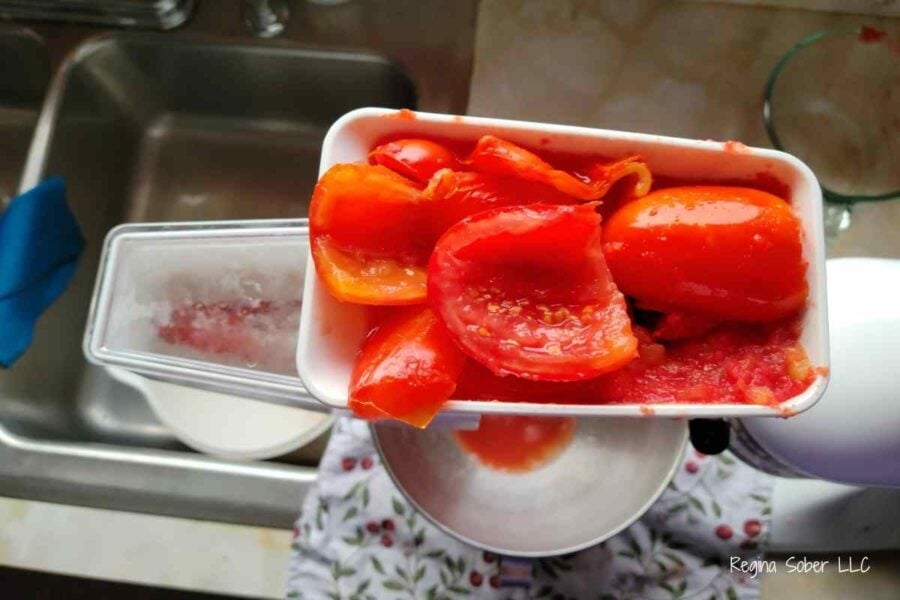 processing tomatoes