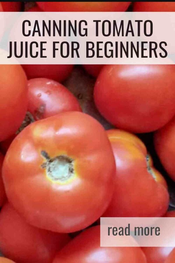 Learn how to can tomato juice safely with step by step instructions, acidity guidelines, and tested canning tips. This beginner friendly method uses bottled lemon juice for safe water bath canning and creates a smooth, bright tomato juice you can use all winter. Perfect for tomato season and pantry stocking.