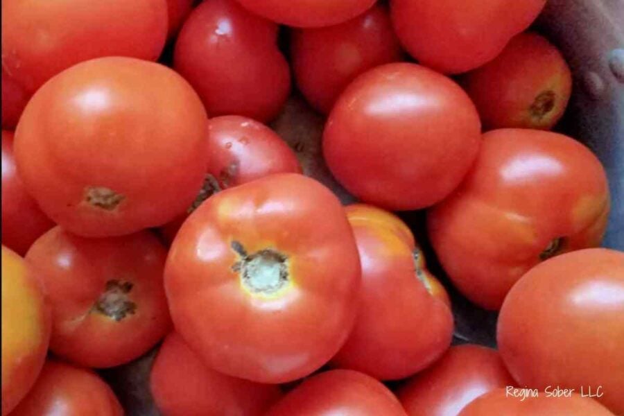 ripe red tomatoes make the best juice