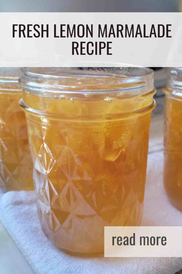 A citrusy marmalade that sets beautifully with pectin. Perfect for toast, yogurt, or gifting in half pint jars.