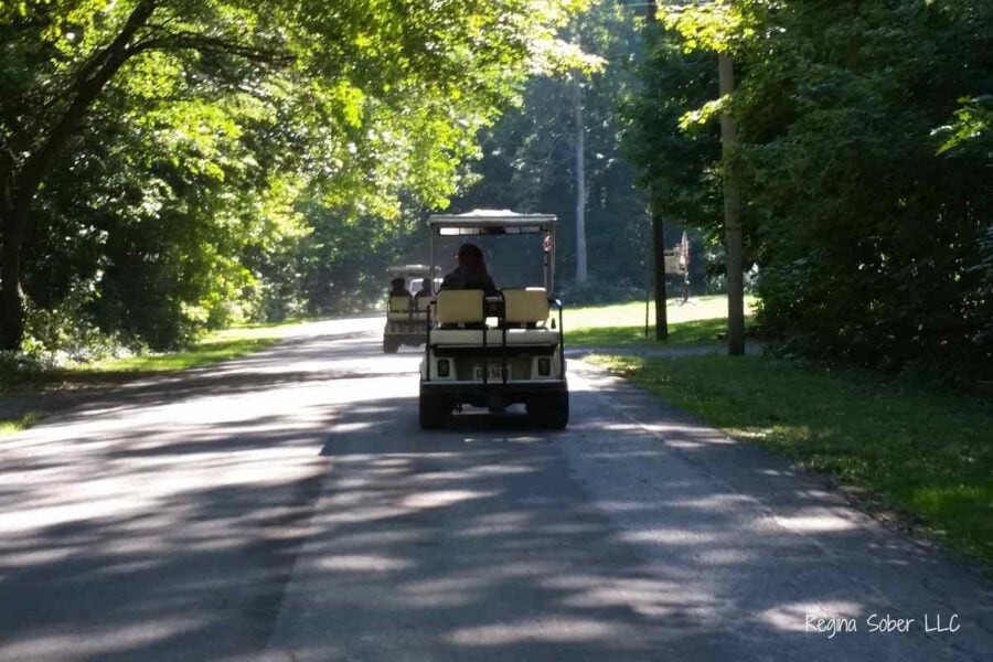 rent a golf cart to get around the island with ease