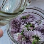 vinegar in blossoms