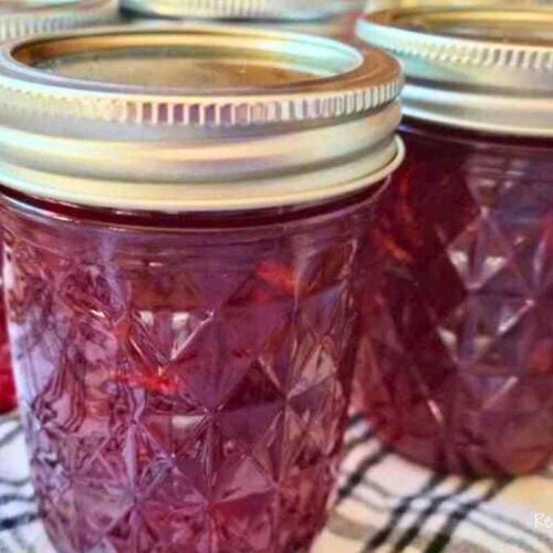 cranberry orange marmalade