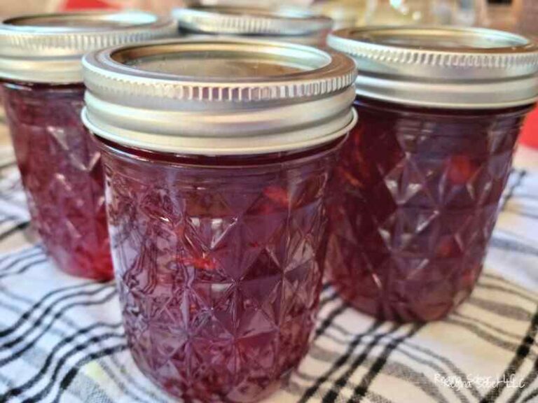 cranberry orange marmalade