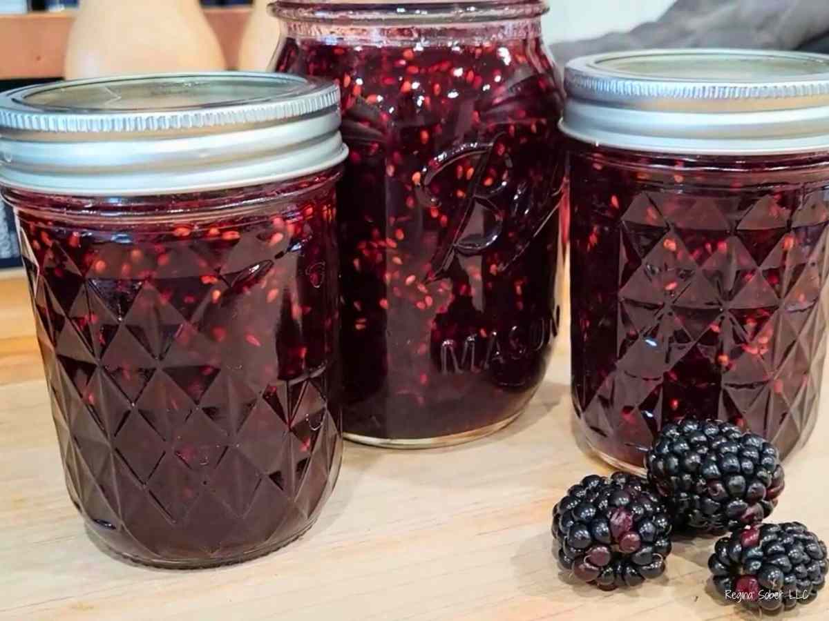jarred blackberry jam