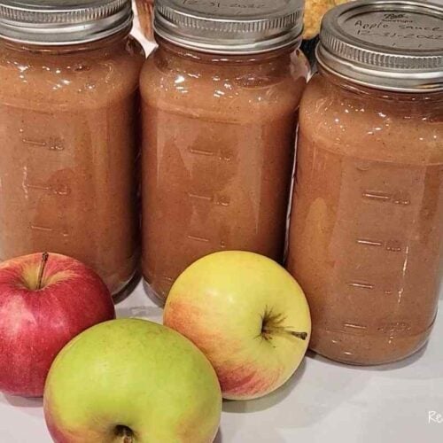 homemade applesauce