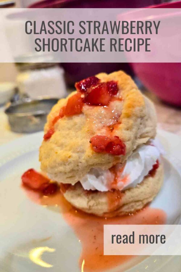 Light, tender biscuits layered with fresh berries and whipped cream. A simple summer dessert that always hits the spot.