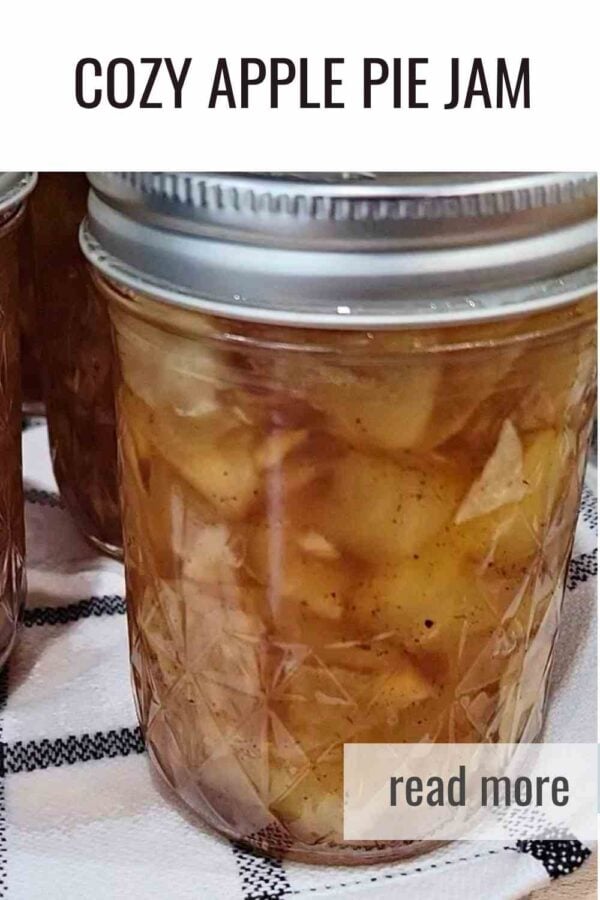 A warm and chunky apple pie jam that tastes just like pie filling. Make it low sugar or add maple syrup for a deeper fall flavor. Perfect for cinnamon rolls, pastries, and small hand pies during Michigan apple season.