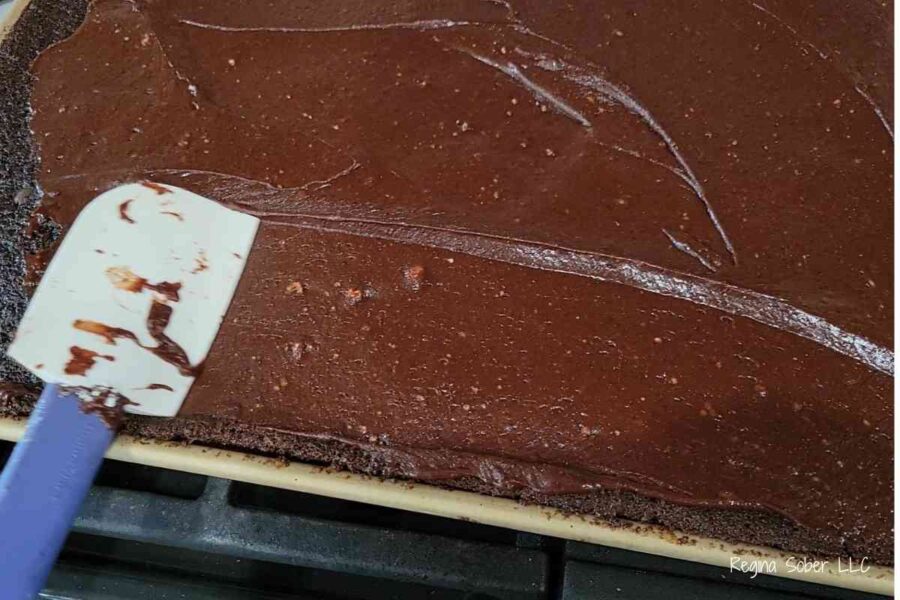 dark chocolate frosted cake with a thin layer of frosting