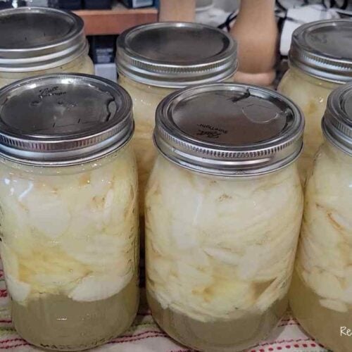 canning sliced apples in hot jars