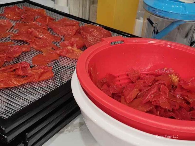 Making Dehydrated Tomato Powder Eat Travel Life making-dehydrated-tomato-powder-eat-travel-life