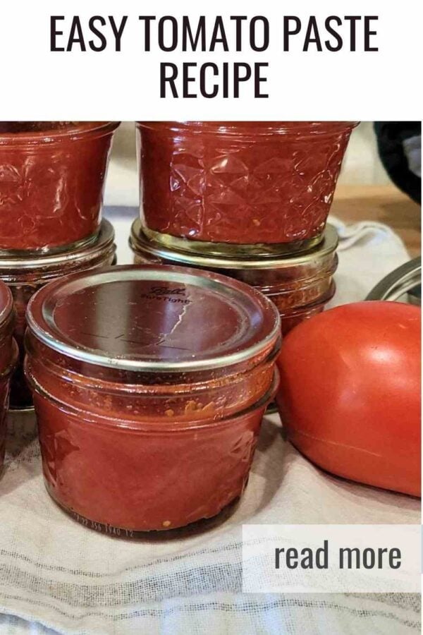 Cook down tomatoes into a deep, flavorful paste with simple ingredients. Perfect for everyday meals and canning.