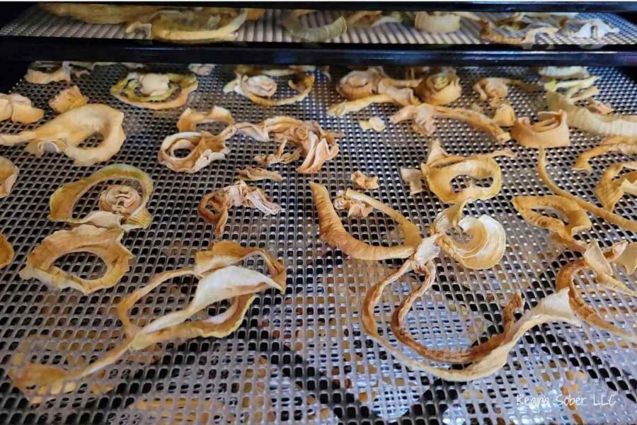 crisp dehydrated onion in dehydrator