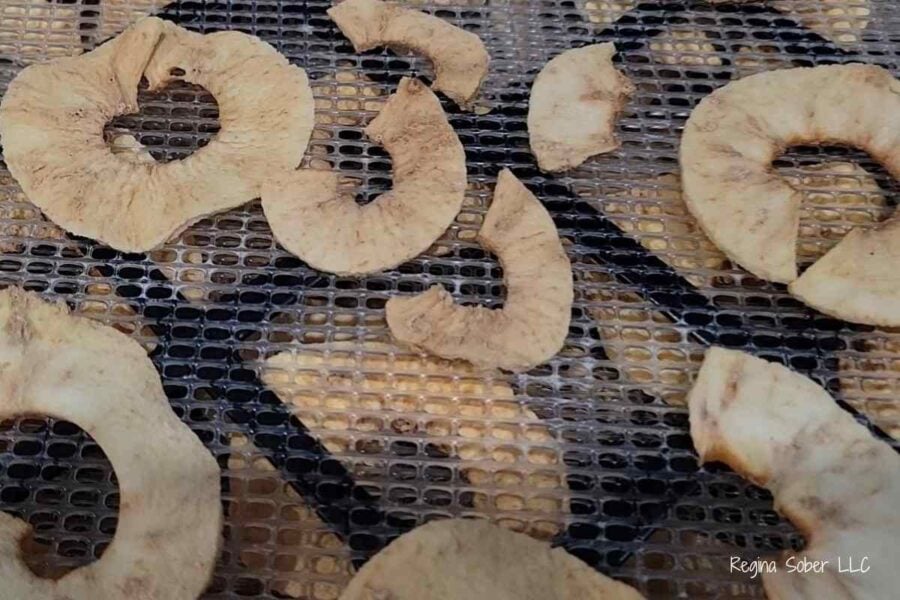 dried apple slices on dehydrator tray