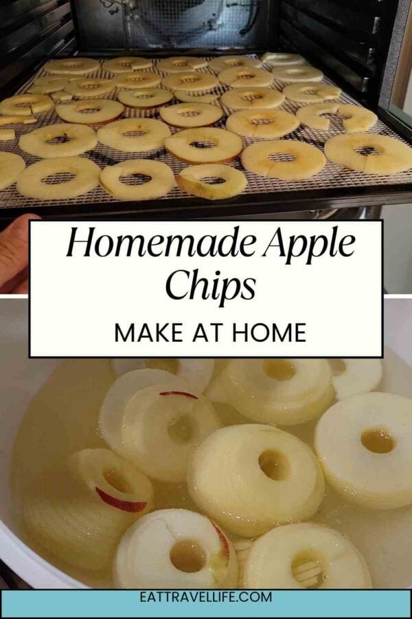 Make chewy, flavorful apple chips at home. This easy dehydrator recipe shows you how to slice, dry, and store apples for fall and beyond.