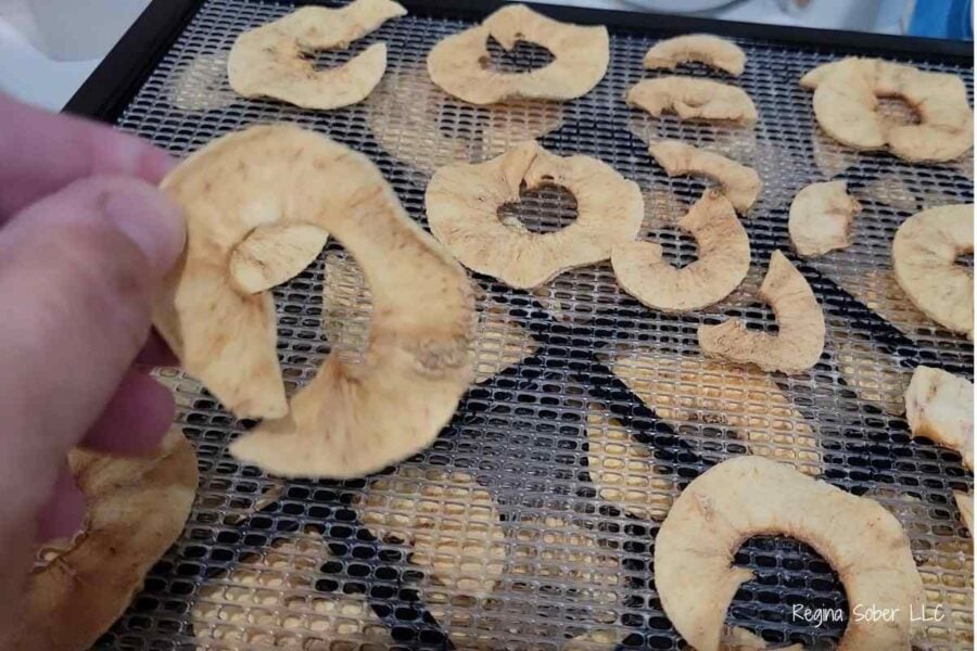 dehydrated apple slices in dehydrator