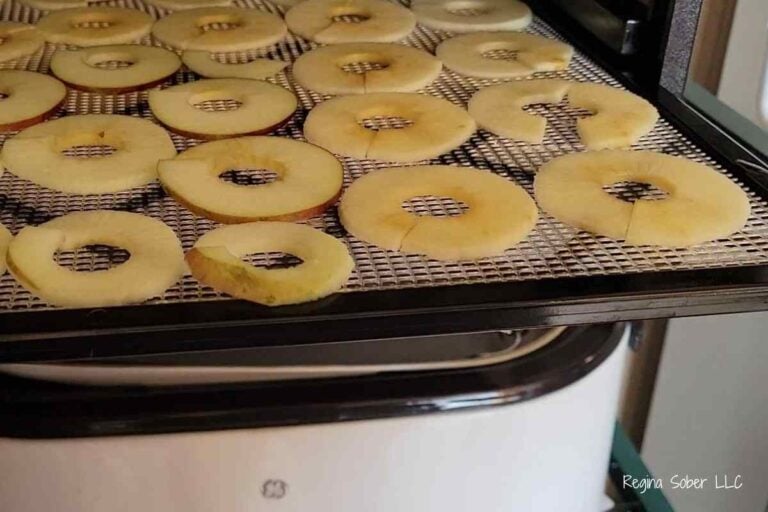 semi dehydrated apples