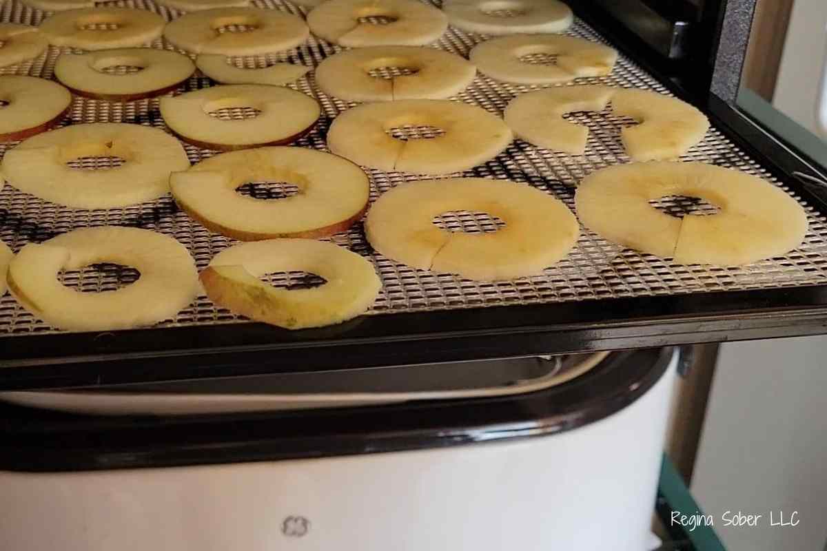 semi dehydrated apples