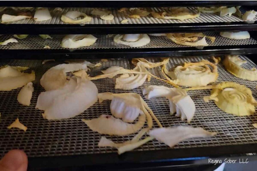dehydrating onions