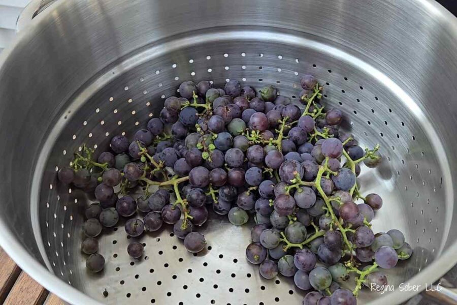 sorted washed grapes